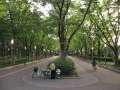 5336_Otsubo-Park