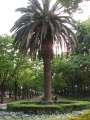 5337_Otsubo-Park
