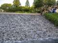 5340_Otsubo-Park