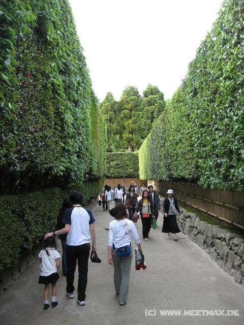 5450_Ginkakuji