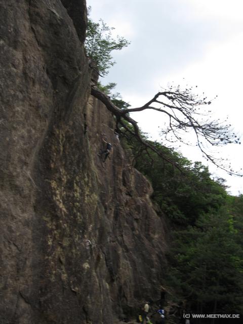 5800_Rock_Tree