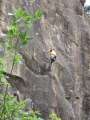 5763_Climber