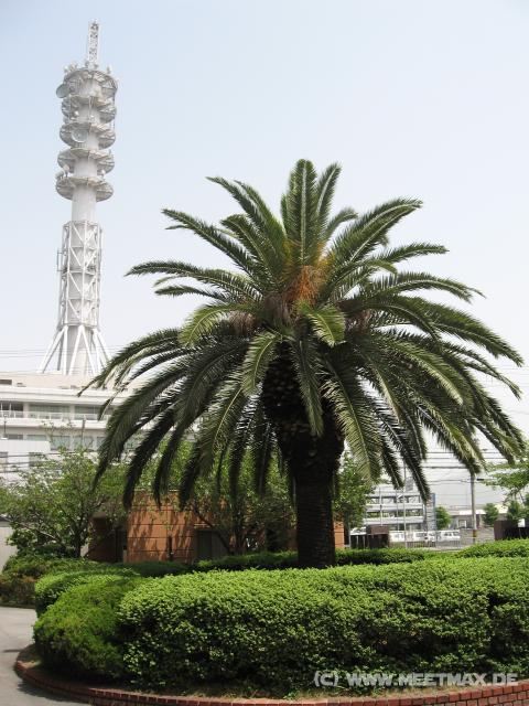 5985_OECU