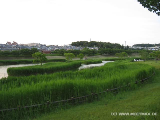 6052_Flood_Protection_Park