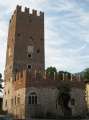 6372_Torre_Vanga
