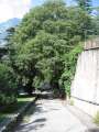 6414_Nice_view