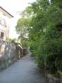 6415_Nice_view