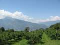 6456_Nice_view