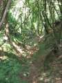 6469_Nice_view