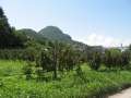 6483_Nice_view