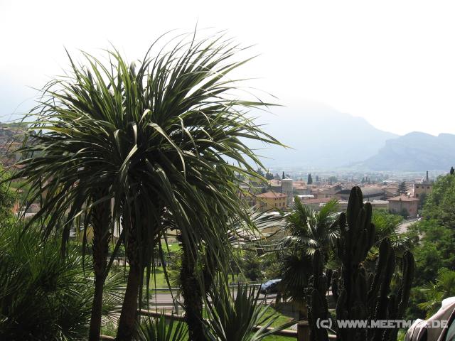 6554_Nice_view