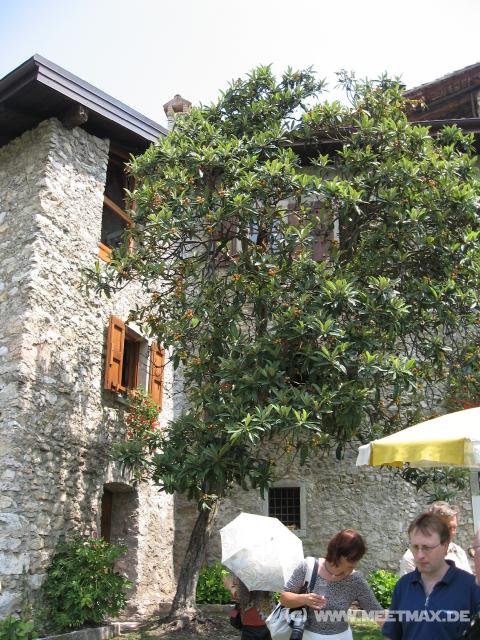6628_Casa_degli_Artisti