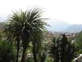 6554_Nice_view
