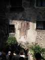 6617_Canale