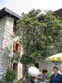 6628_Casa_degli_Artisti