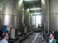 6698_Cantina_d'Isera