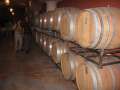 6708_Cantina_d'Isera