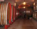 6709_Cantina_d'Isera