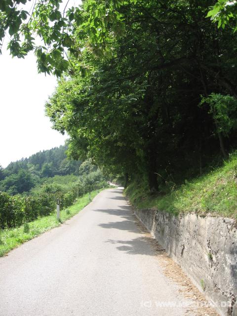 6772_Nice_view