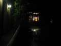 6842_By_night