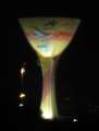 7306_Asian_Games_Kelch