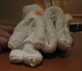 6281_Handtuch-Viecher