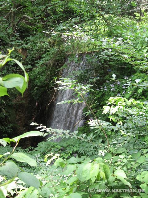 7729_Waterfall