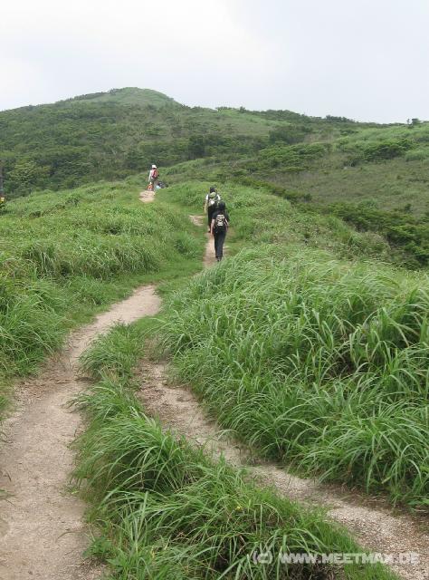 7743