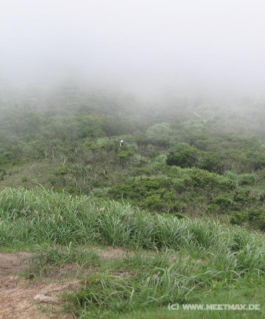 7757_Disappearing