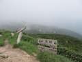 7751_Summit