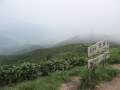 7753_Summit