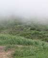 7757_Disappearing