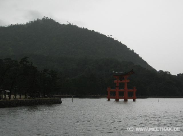 7989_Torii