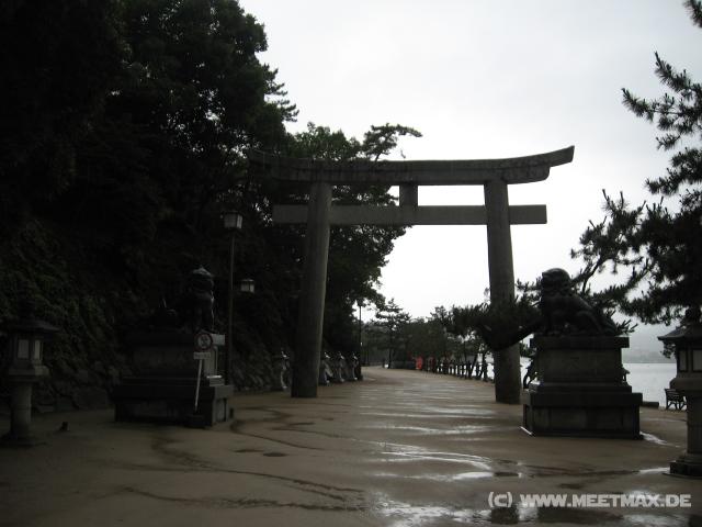 7991_Torii