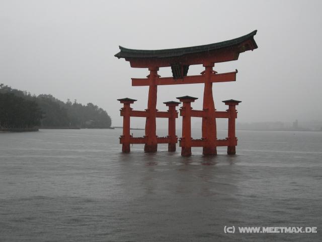 7993_Torii
