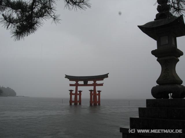 7997_Torii