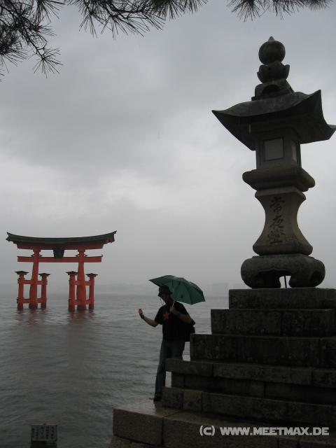 7999_Torii_Markus