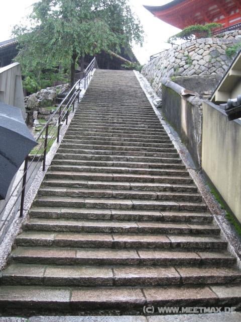 8031_Tempeltreppe