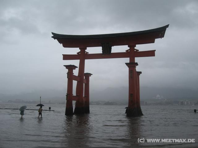 8070_Torii