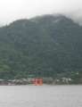 7979_Miyajima
