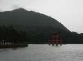 7989_Torii