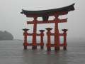 7994_Torii