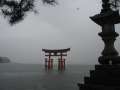 7997_Torii