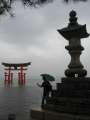 7999_Torii_Markus