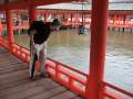 8004_Itsukishima-jinja