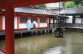 8006_Itsukishima-jinja