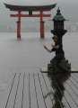 8015_Torii-Posing