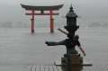 8018_Torii-Posing