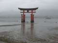 8069_Torii