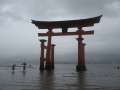 8070_Torii